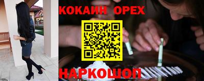 стафф Партизанск