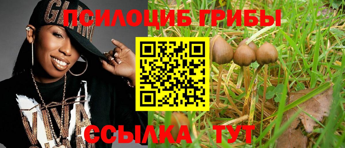Ростов-на-Дону  Псилоцибиновые грибы мицелий  Вход с VPN 